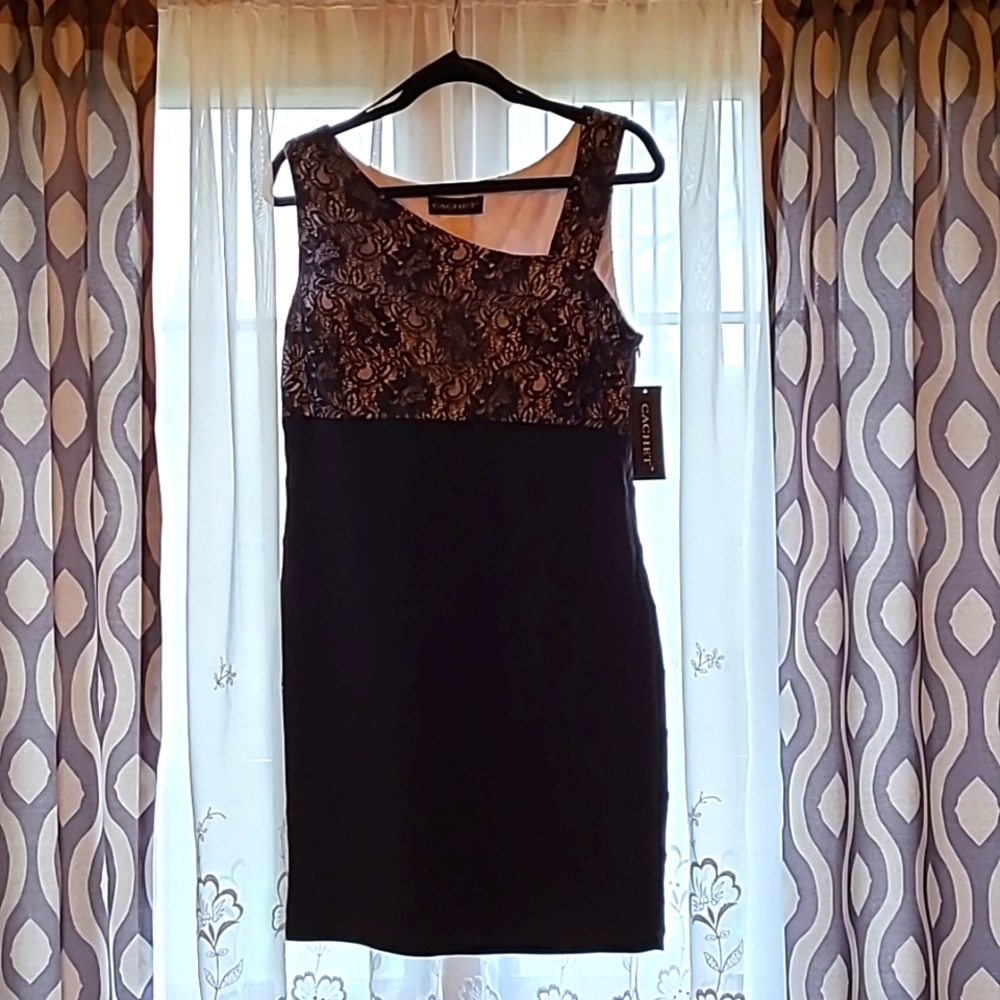 Cachet Black and lace Spandex Evening dress, size 16 (runs small)